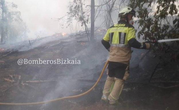 Incendio forestal en Ispaster por un desprendimiento de tierra