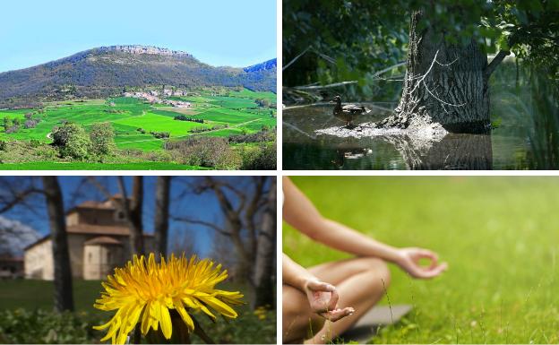 Descubre los castros de San Román y retrata la naturaleza de Vitoria