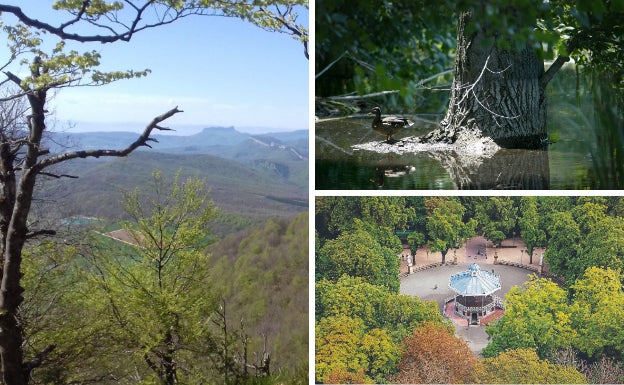 Descubre la Bitigarra y da un paseo botánico por Valdegovía