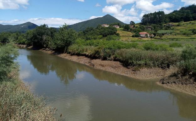 Paseos por la campiña atlántica vizcaína