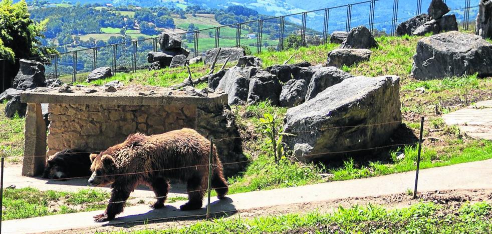 Los Refugios De Fauna Silvestre Cogen Aire 