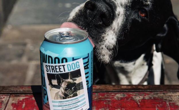 BrewDog, bere edarietan etxerik ez duten animalien argazkiak plazaratzen dituen garagardo marka