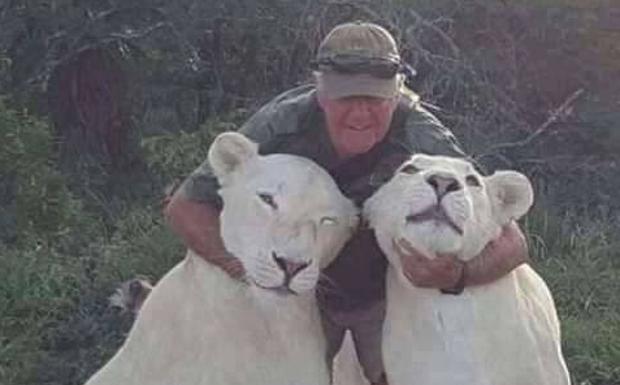 Un famoso conservacionista africano muere atacado por dos leonas con las que salía a pasear