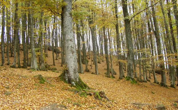 Una fría noche en Álava deja una mínima de 1,6 grados en Iturrieta