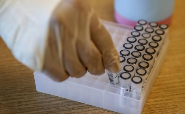 El coronavirus repunta en Álava con 97 positivos, 88 de ellos en Vitoria