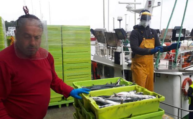 Las descargas de pescado en las lonjas de la comarca se reducen un 31,7% por la pandemia