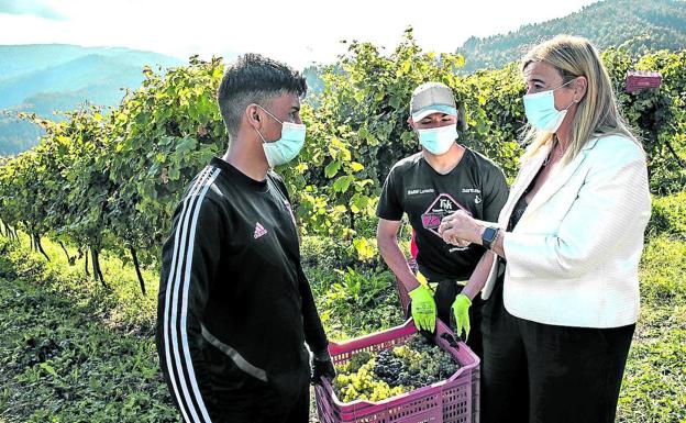 La vendimia de txakoli abre las puertas del empleo a 64 exmenas vizcaínos