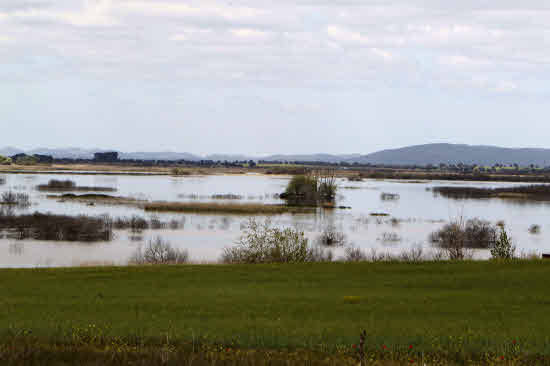 Las Tablas de Daimiel piden con urgencia un trasvase del Tajo-Segura