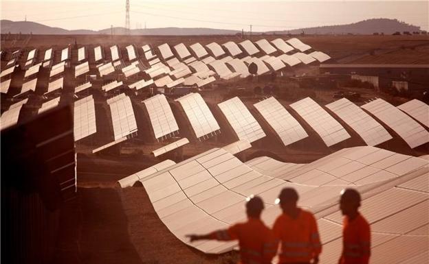 4.200 millones de cañas producidas exclusivamente con energía solar