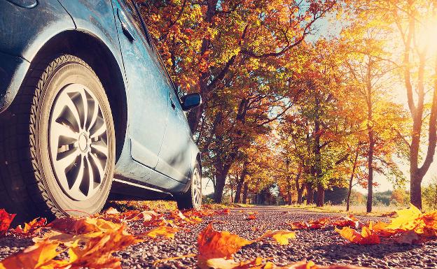 Ocho consejos para conducir seguro en otoño