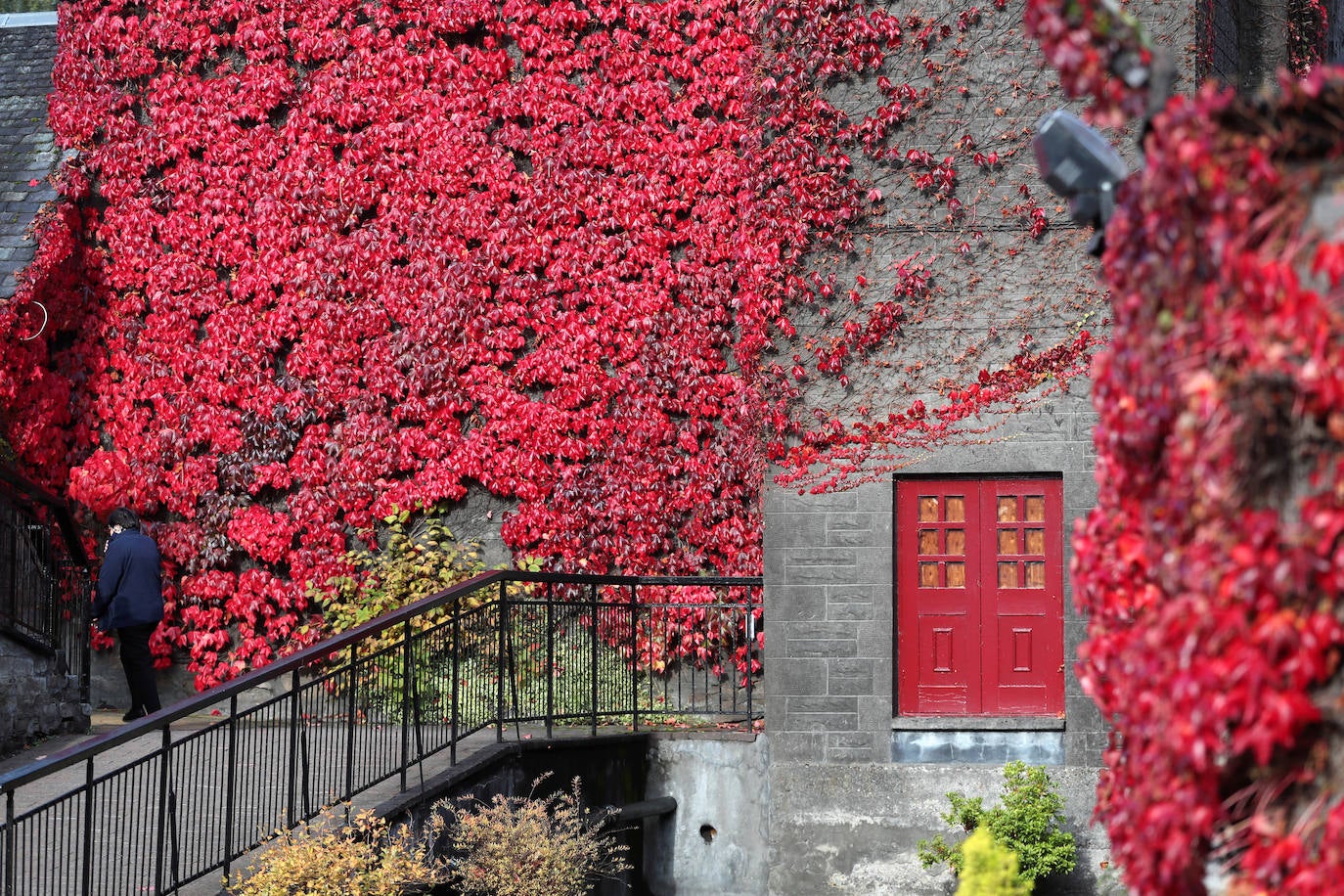 Así se vive la llegada del otoño en los diferentes rincones del planeta