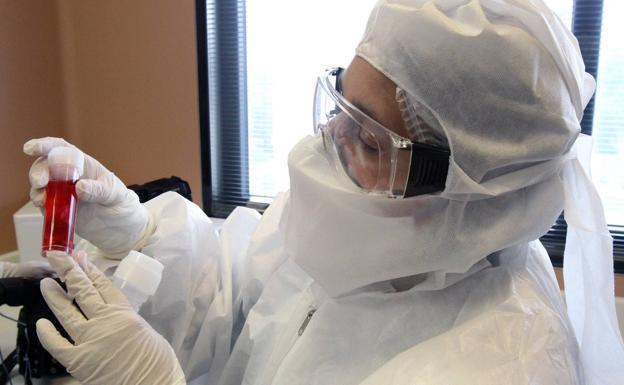 Un grupo de investigadores vascos crea un modelo para predecir la evolución del Covid-19