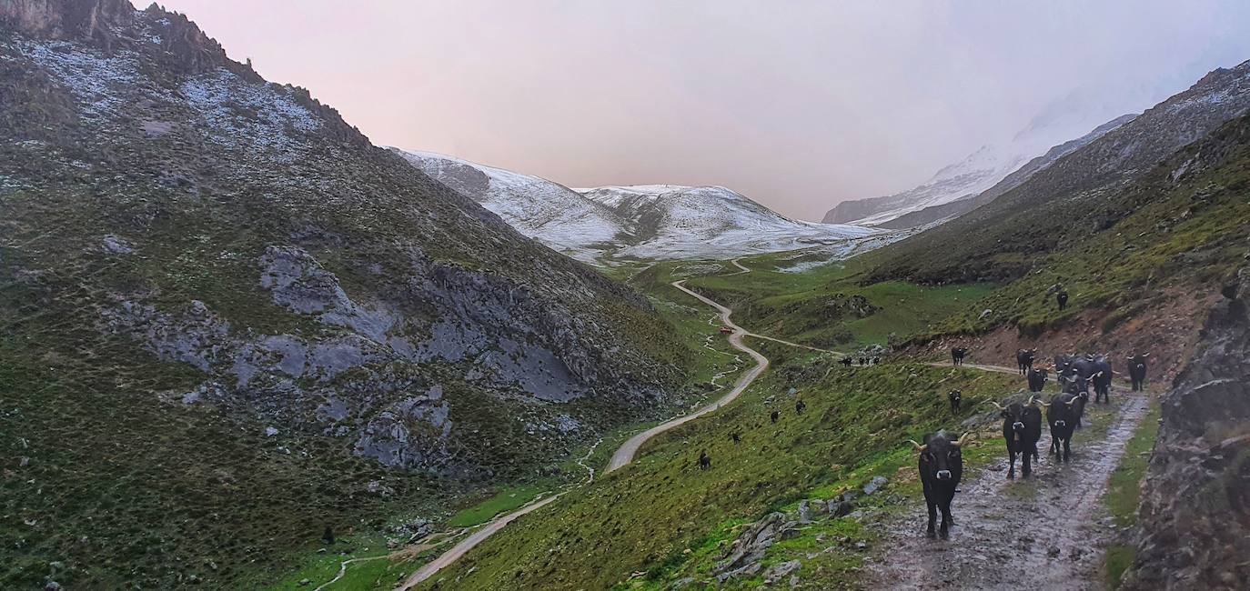 Nieve en Picos de Europa