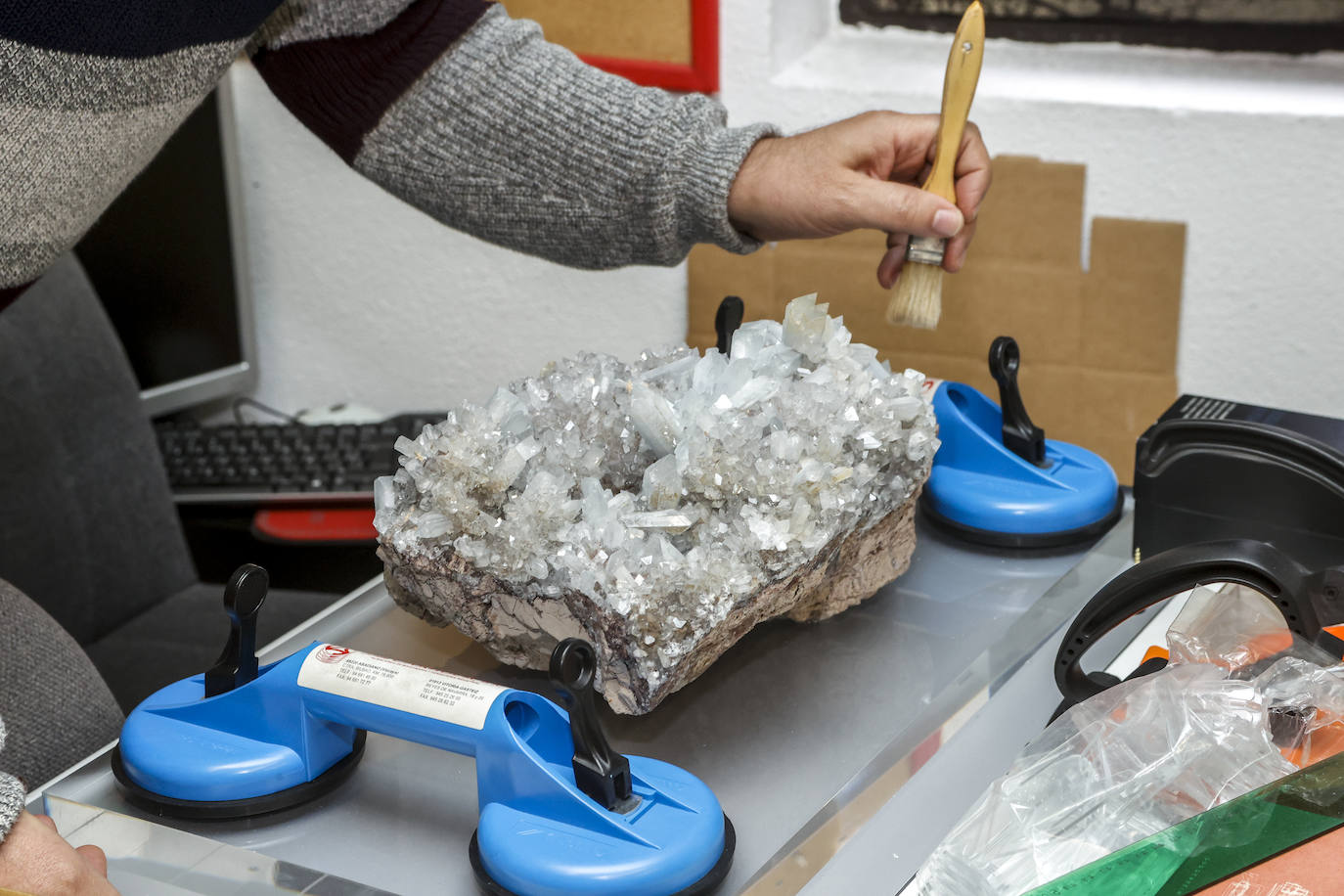 Un recorrido por el Museo de Ciencias Naturales de Álava