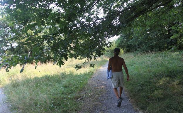45 nuevas farolas led mejorarán el alumbrado del Jardín Botánico de Olárizu
