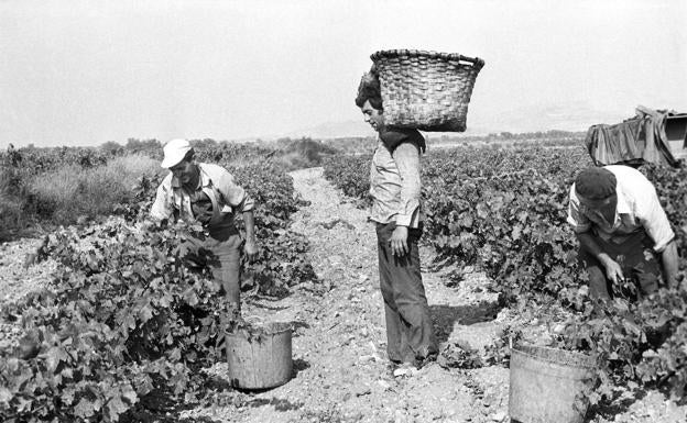 Rioja Alavesa, tierra de paso y de vino