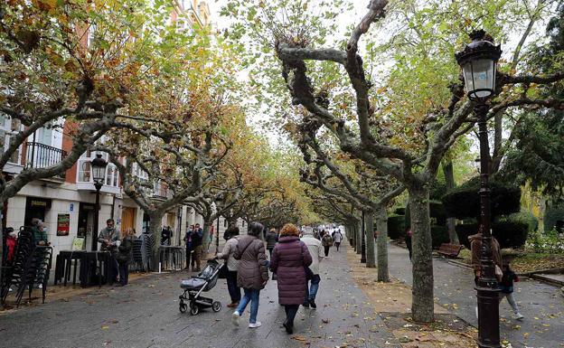 Castilla y León restringe las reuniones en Burgos a tres personas