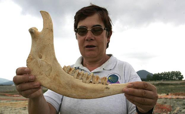 El Instituto Alavés de Arqueología premia la trayectoria de Paquita Sáenz de Urturi