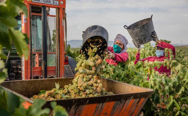 Álava inyectará a las bodegas 725.000 euros extra de los 'fondos covid' forales