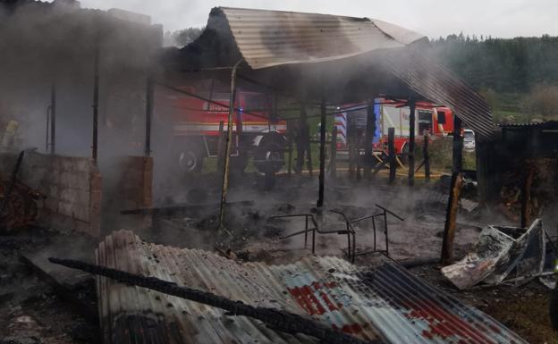 Un incendio en una caseta de animales de Larrabetzu provoca la muerte de un caballo y un burro