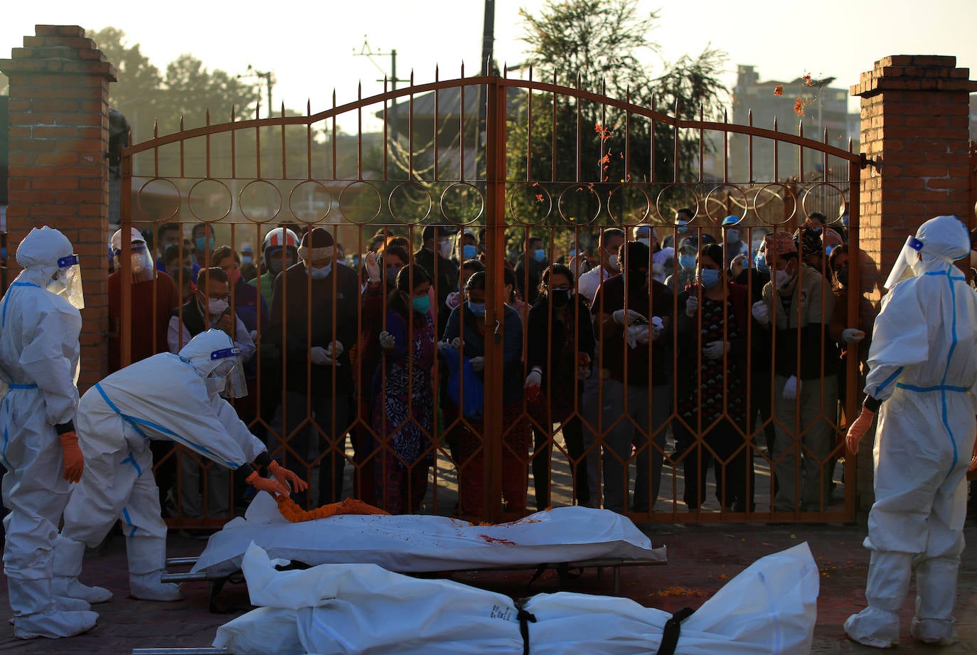 ¿La reina de las cenizas?