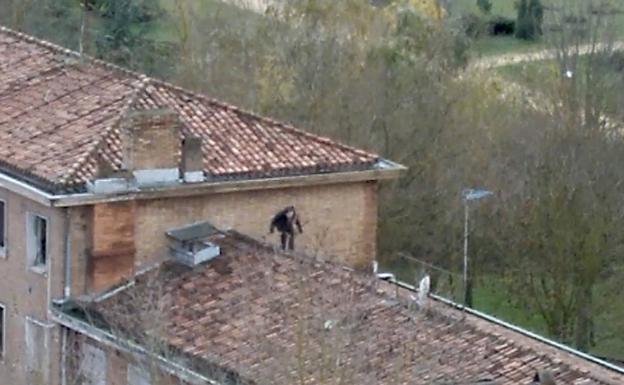 Un ladrón se sube al tejado de los pisos okupados de Olárizu para robar chatarra