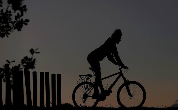 Hogar y bicicletas, los negocios de la pandemia