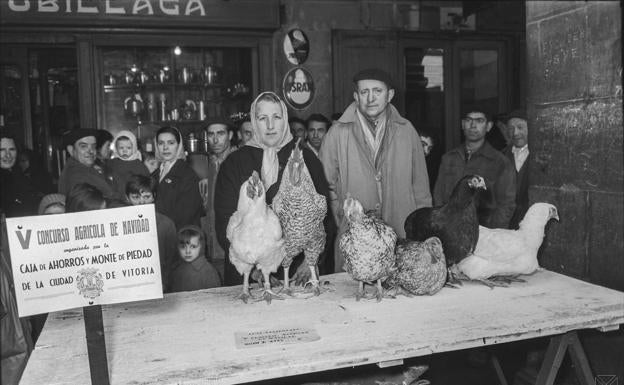 Las berzas descomunales de Elorriaga y la «extrañeza» por los puerros