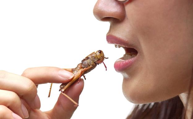 ¡Ni hablar de saltamontes!