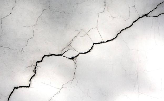 La zanahoria es la república