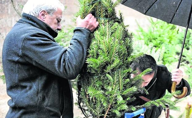 Los orígenes paganos del árbol de Navidad