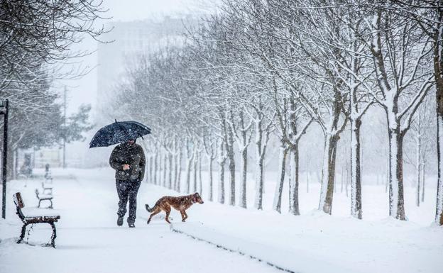 La nieve y el hielo dificultan la circulación en Álava, donde la cota baja a los 200 metros