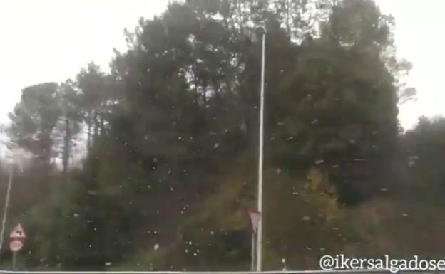 'Filomena' dejó sólo algunos copos en Artxanda