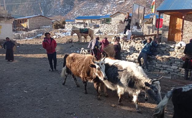 Txikon ya está en el campo base del Manaslu