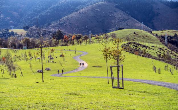 Actividades contra el frío