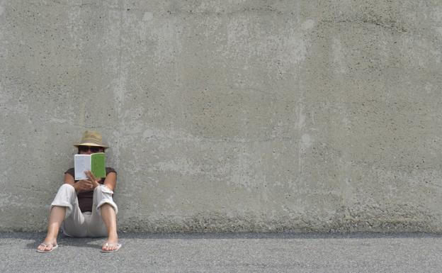 Bakardadea eta literatura