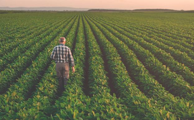 Planas llama a alcanzar un «gran acuerdo nacional» por la agricultura