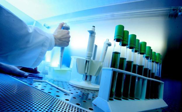 Apuesta vasca por la ciencia