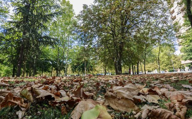 Vitoria mejorará el alumbrado público en tres parques para «aumentar la seguridad»