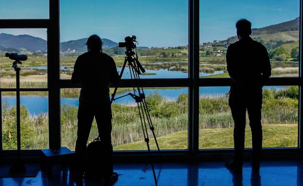 Más de 290.000 personas se asomaron de manera virtual al Urdaibai Bird Center en 2020