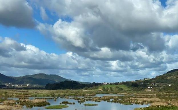 Los humedales de Urdaibai y Txingudi contarán con fondos del programa Next Generation para la recuperación tras la pandemia