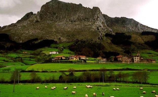 Investigan a un vecino de Atxondo por un presunto delito de maltrato animal