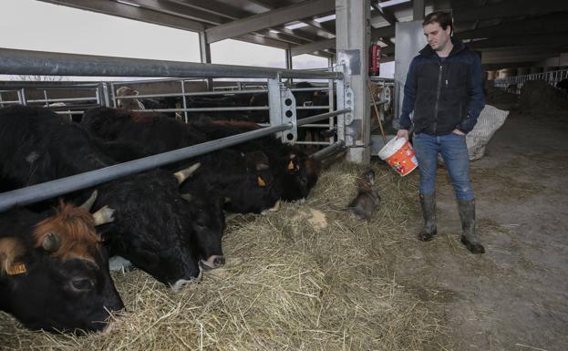 Julen Martínez de Santos: «Se está perdiendo el arraigo entre el campo y la ciudad»