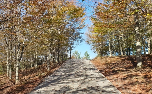 Durango pide a la Diputación que no eche hormigón en la pista forestal de Landaederra