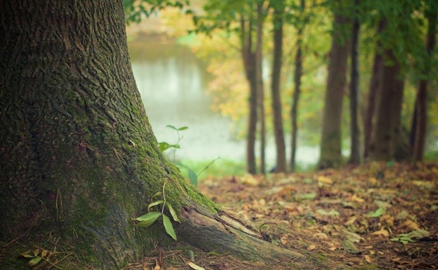 Gorbeiak 'Jatorrira bidaia' egitera gonbidatzen gaitu
