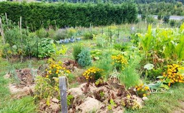Urkabustaiz busca nuevas parcelas para más huertos ecológicos