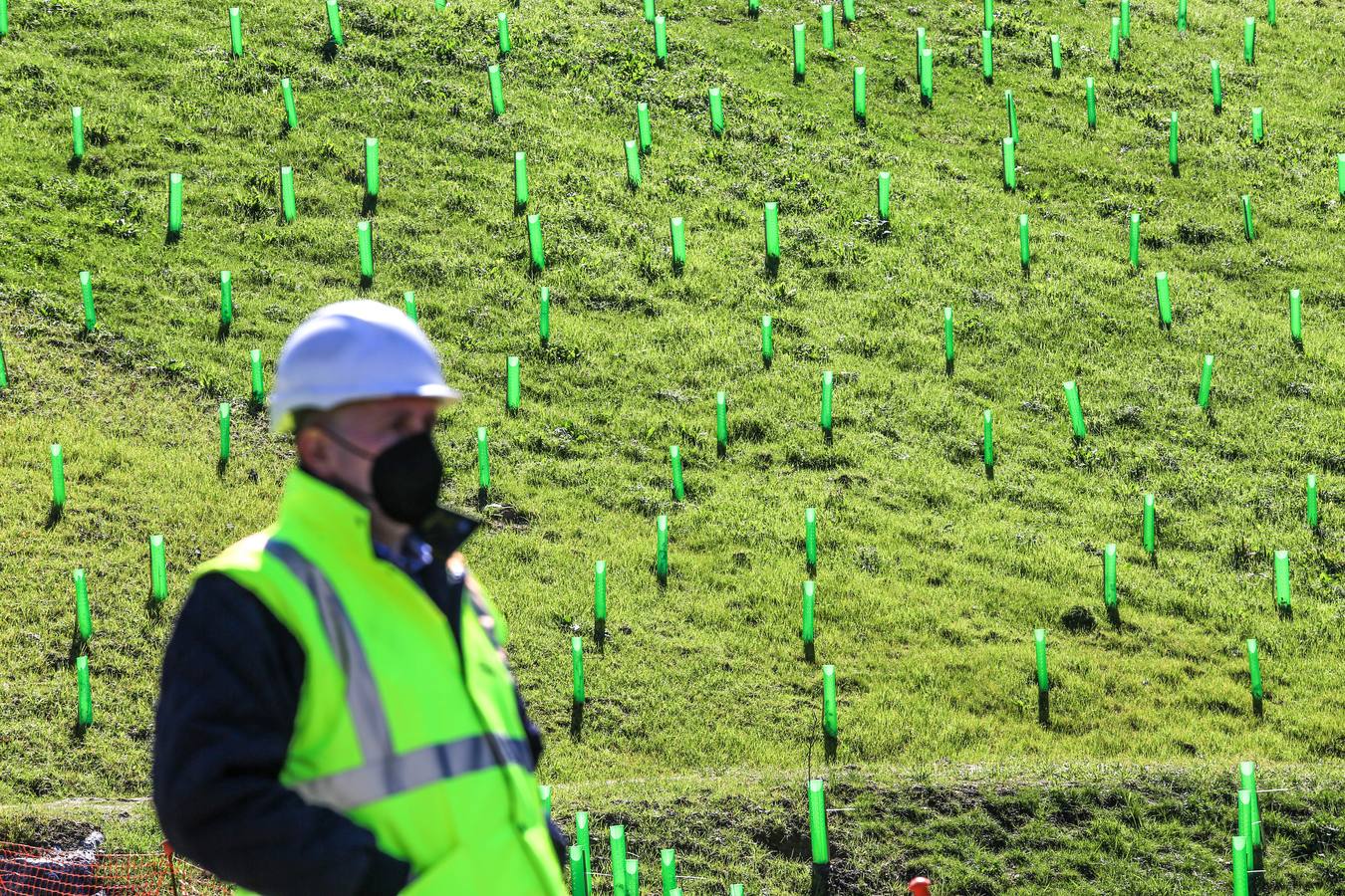 La cantera del Peñascal será pronto un robledal