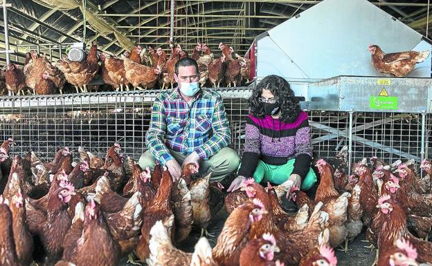 Primero la gallina y después el huevo
