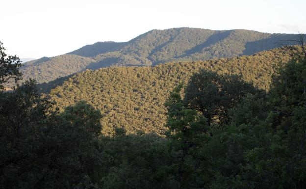 El PNV y PSE dan carpetazo en las Juntas a declarar parque natural a los Montes de Vitoria