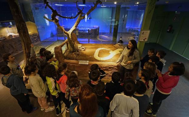 ¿Quién dice que un museo es aburrido?